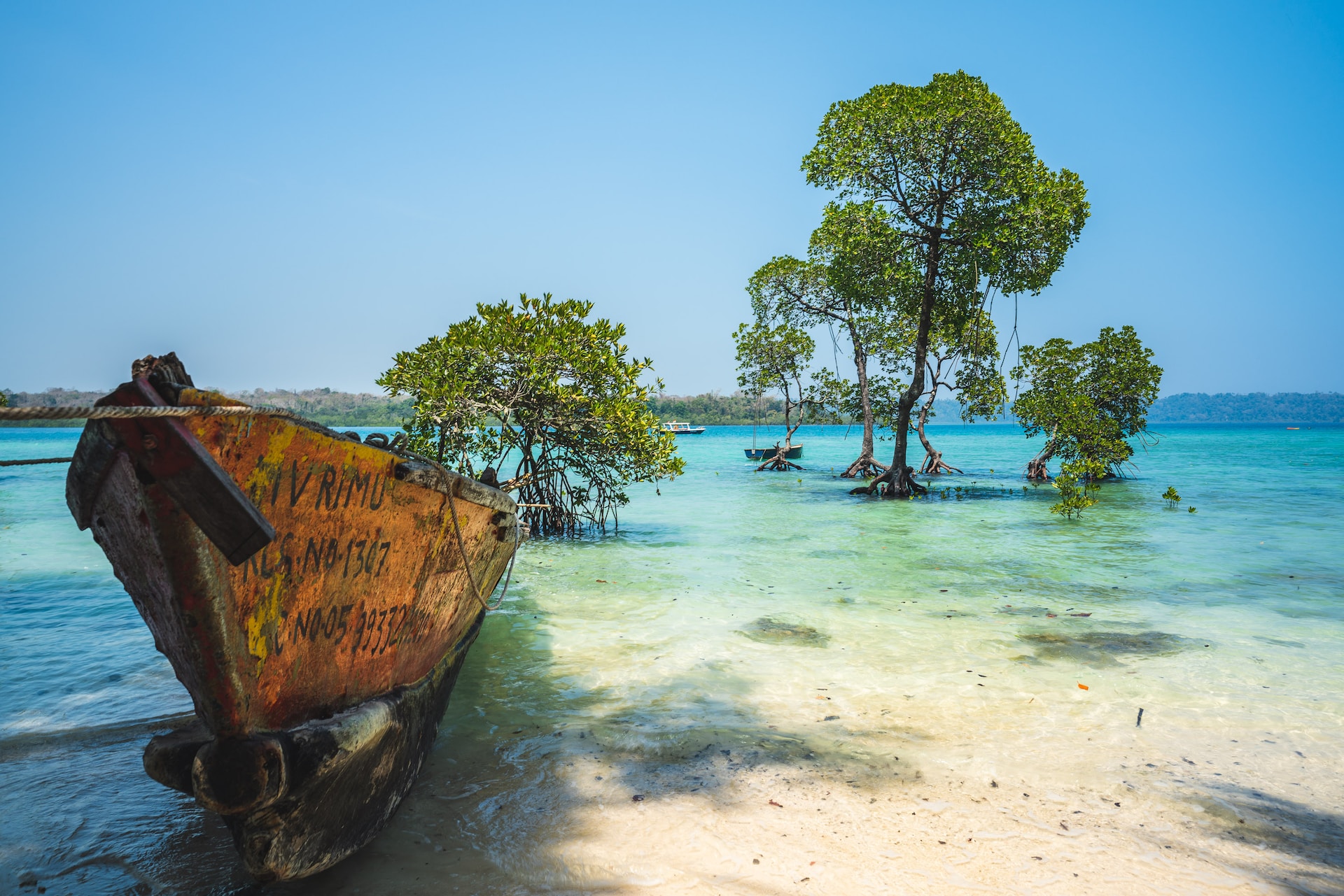 Andaman Bliss: Relaxing at Elephant Beach