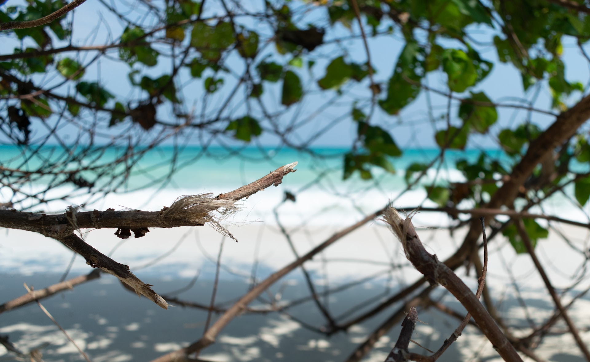 Paradise Unveiled: Exploring Radhanagar Beach